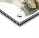 California Marmot Squirrel Spermophilus spilosoma  Acrylic print