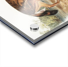 Red Texan Wolf Canis lupus  Acrylic print