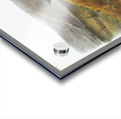 Little Nimble Weasel Putorius agilis  Acrylic print