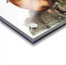 American Red-Fox Vulpes Fulvus  Acrylic print