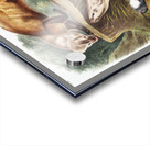 Pine Marten Mustela martes  Acrylic print