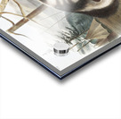 Hare-Indian Dog Canis familiaris  Acrylic print