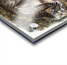 Canada Lynx Lynx Canadensis  Acrylic print