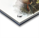 Marmot Squirrel Spermophilus Parryi  Acrylic print