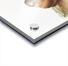 Lecontes Pine Mouse Arvocola pinetorum  Acrylic print