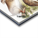 Grey Rabbit Lepus Sylvaticus  Acrylic print