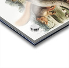 Squirrel Sciurus Sayi  Acrylic print