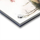 American Marsh Shrew Sorex palustris  Acrylic print