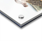 Marmot Squirrel Spermophilus lateralis  Acrylic print