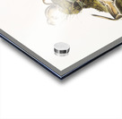 Four-striped Ground Squirrel Tamias quadrivitatus  Acrylic print