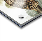 Ocelot or Leopard-Cat Felis pardalis  Acrylic print