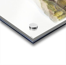 Pouched Jerboa Mouse Dipodomys Phillipsii  Acrylic print