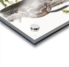 Pouched Jerboa Mouse Dipodomys Phillipsii  Acrylic print