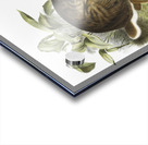 Swamp Hare Lepus aquaticus  Acrylic print