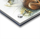 Marsh Hare Lepus palustris  Acrylic print