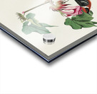 Bay-breasted Warbler Acrylic print