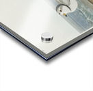 Great Marbled Godwit Acrylic print