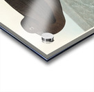 Dusky Albatros Acrylic print