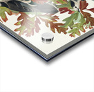 Canada Jay Acrylic print