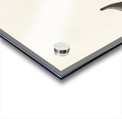 Columbian Water Ouzel and Arctic Water Ouzel Acrylic print