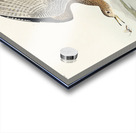 Bartram Sandpiper Impression Acrylique