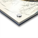 Wild Turkey or Great American Cock Acrylic print