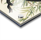 Canada Goose Acrylic print