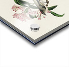 Cuviers Kinglet Acrylic print