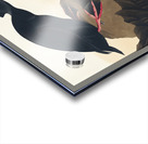 Black or Surf Duck Acrylic print