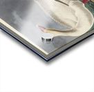 Black or Surf Duck Acrylic print