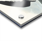 Black Skimmer Acrylic print