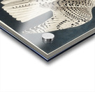 Iceland or Jer Falcon Acrylic print