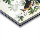 Boat-tailed Grackle Impression Acrylique