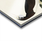 Booby Gannet Acrylic print