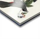 Cat Bird Acrylic print