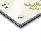 Wood Wren Acrylic print