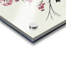 Blackburnian Warbler Acrylic print