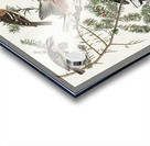 Rose-breasted Grosbeak Acrylic print