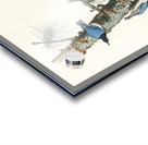 White-breasted Black-capped Nuthatch Acrylic print