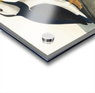 Large billed Puffin Acrylic print