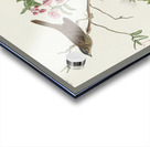 Lincoln Finch Acrylic print