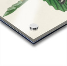 Black & Yellow Warbler Acrylic print