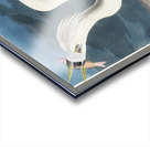 Great White Heron Acrylic print