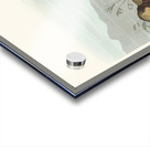 Ring Plover Acrylic print