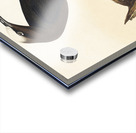 Noddy Tern Acrylic print