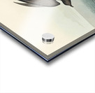 Least Stormy-Petrel Acrylic print