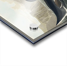 Great Auk Acrylic print