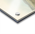 California Partridge Acrylic print