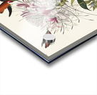 Ruff-necked Humming-bird Acrylic print