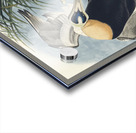 Eider Duck Acrylic print